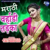 About Marathi Vrhadi Tadka Song