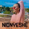 About Nionyeshe Song