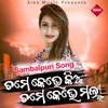 About Tame Kebhe Kia Tame Kebhe Mali Song