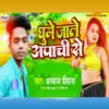 About Ghume Jale Apache Se Song