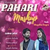 About Pahari Mashup Pro Song