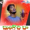 About Bhulagochi baa Song