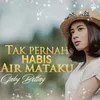 About Tak Pernah Habis Air Mataku Song