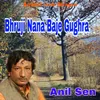 About Bhruji Nana Baje Gughra Song