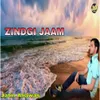 About Zindagi Jaam Song