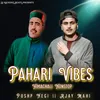 About Pahari Vibes Himachali Nonstop Song