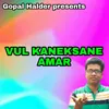 VUL KANEKSANE AMAR