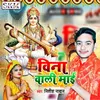 About Veena Wali Maai Song