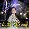 About Cinta Terlarang Song