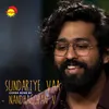 About Sundariye Vaa Recreated Version Song