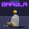 About BAAWLA Song
