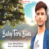 About Baby Tere Bina Song