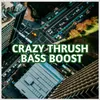 About CRAZY THRUSH BASS BOOST Song