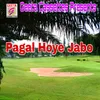 About Pagal Hoye Jabo Song