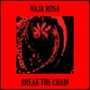 About Break The Chain Song