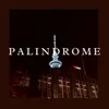 About Palindrome Song