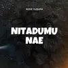 About Nitadumu Nae Song