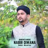 About NABIR DIWANA Song