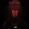About Illegale Song