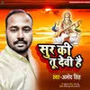 About Sur Ki Tu Devi Hai Song