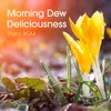 About Taste the Morning Song