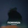 About Помнишь Song