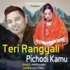 About Teri Rangyali Pichodi Kamu Song