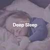 Deep Sleep, Pt. 17