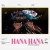 About Hana Hana Song