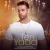 About Teri Yaad Song