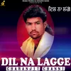 About Dil Na Lagge Song