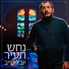 About נחש העיר Song