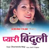 Pyari Binduli Garhwali Song