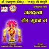 Jagdamba Tor Bhuwan Ma Chhattisgarhi Bhakti Geet