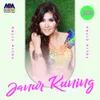 Janur Kuning Versi Jawa