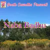 Naba Badhu