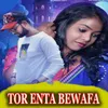 About Tor Enta Bewafa Mor Darkar Nai Song