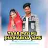 Taar Pay Nu Jhajhariya Janu