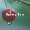 Nature Rain, Pt. 1