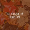 The Sound of Rainfall, Pt. 1