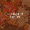 The Sound of Rainfall, Pt. 5