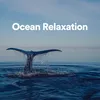 Relaxing Ocean Sounds, Pt. 2