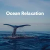 Relaxing Ocean Sounds, Pt. 6