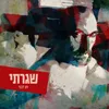 About שגרתי Song