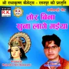 About Tor Bina Suna Lage Maiya Chhattisgarhi Jas Geet Song