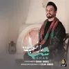 About Shab Song