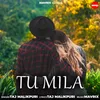 About Tu Mila Song