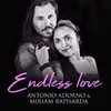 About Endless Love Song