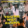 About YOU'RE NOT ALONE Remix Song