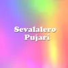 About Sevalalero Pujari Remix Song